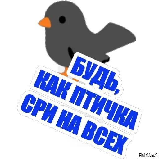 Солянка от 06.07.2025