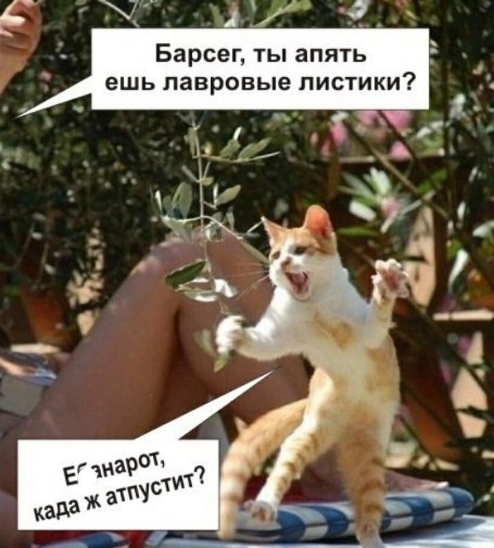 Они только что разлетелись