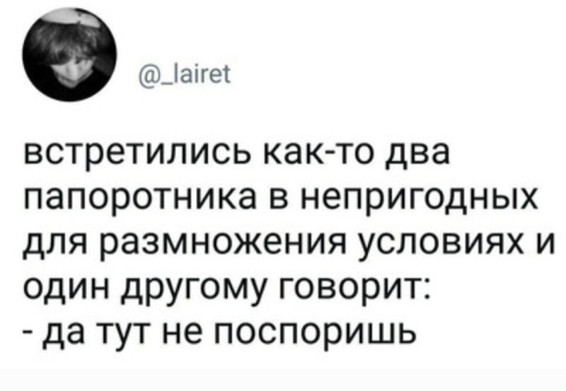 Солянка от 07.07.2025