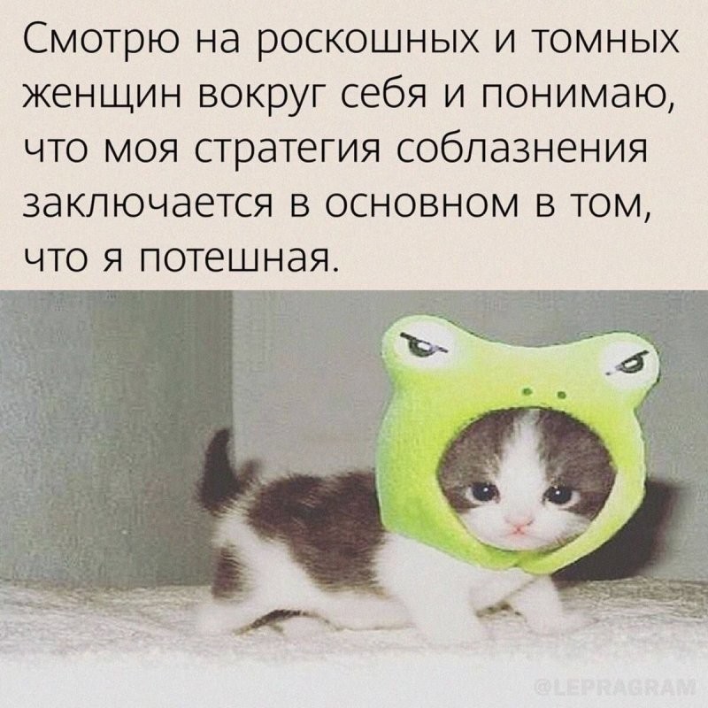 Солянка от 09.07.2025