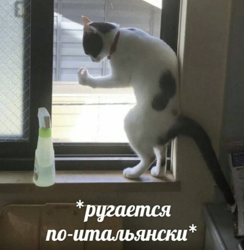 Солянка от 10.07.2025