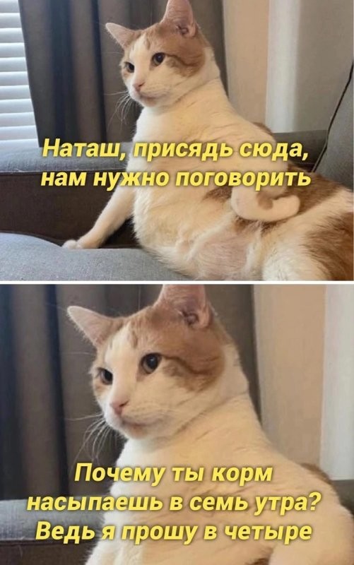 Здраствуте