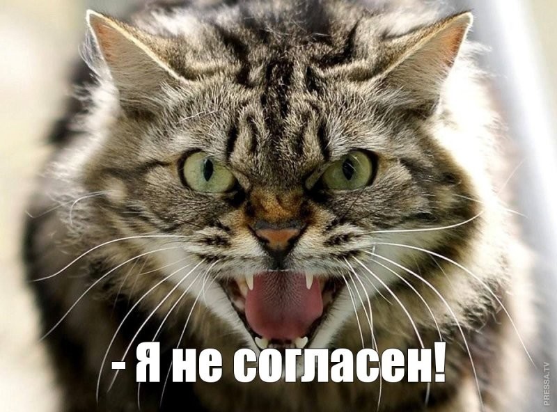 Я не пробовал, но кошка довольна.
