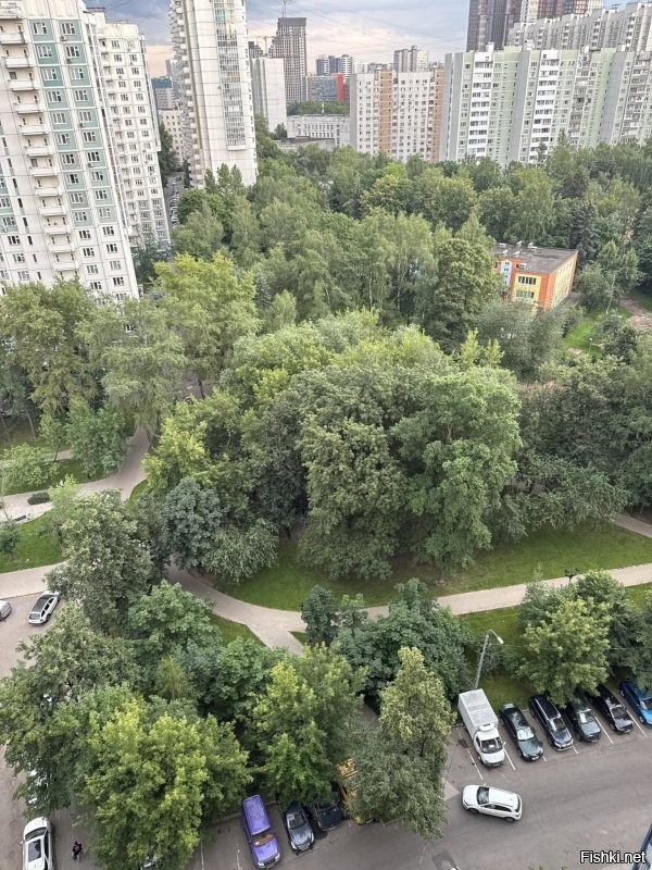 Враки, враки