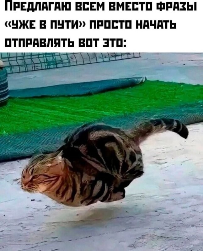 Солянка от 12.07.2025