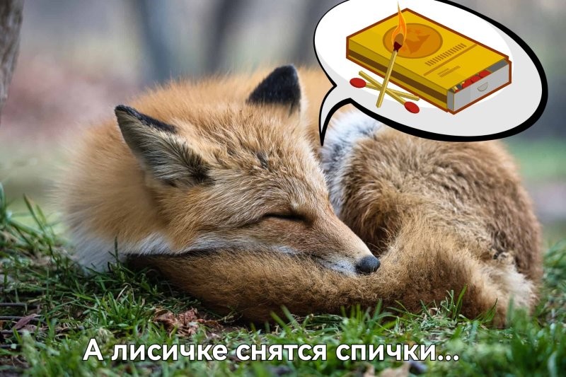 Солянка от 14.07.2025