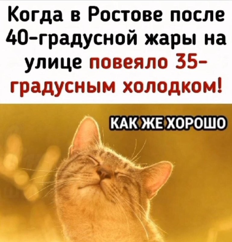 Солянка от 14.07.2025