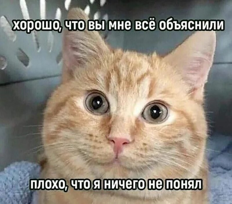 Солянка от 14.07.2025