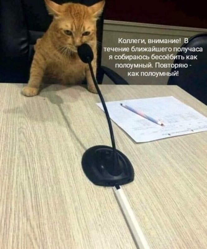 Доброе утро