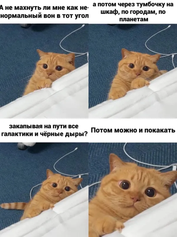 Доброе утро
