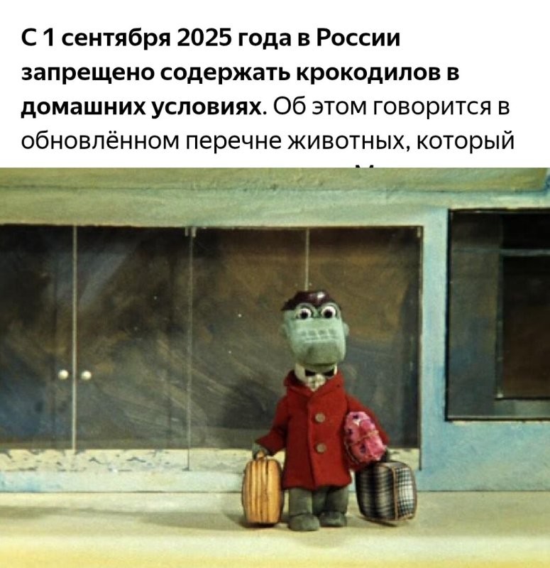 И не мечтай, Гена, не мечтай...
