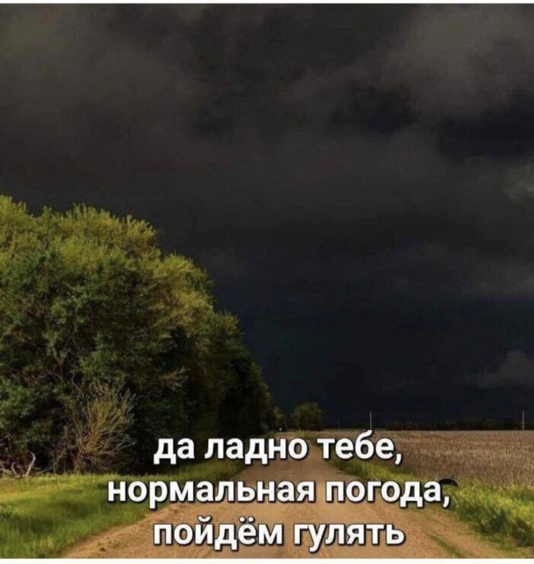 Солянка от 18.07.2025