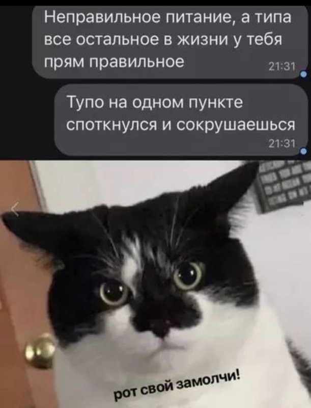 Солянка от 21.07.2025