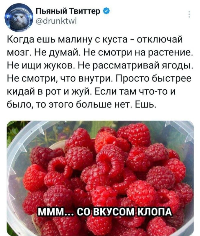 Солянка от 25.07.2025