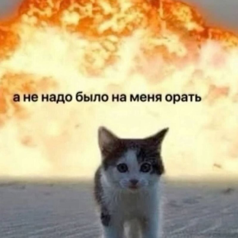 Солянка от 26.07.2025
