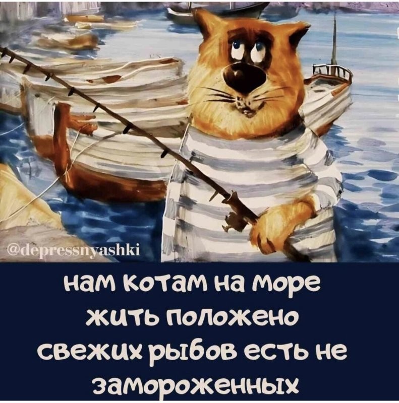 Солянка от 27.07.2025