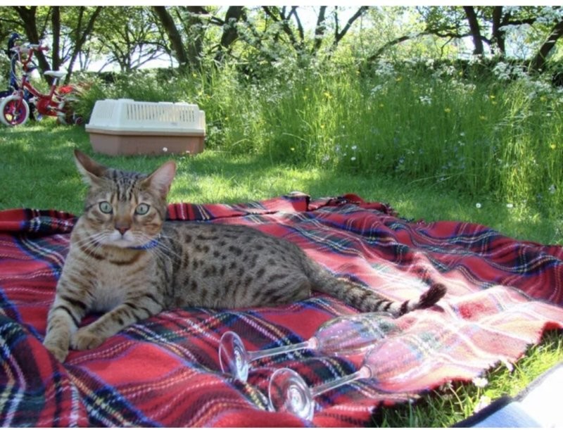 Вполне )