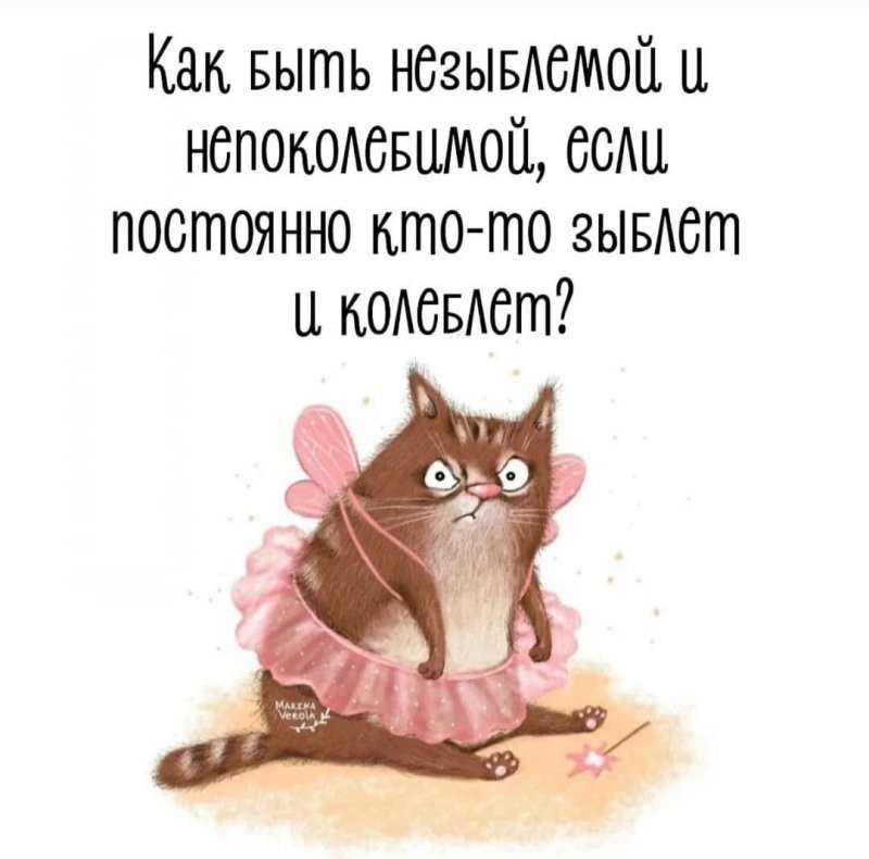 Солянка от 28.07.2025