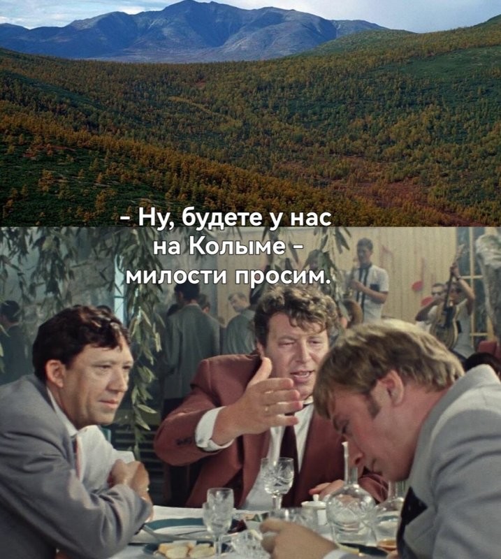 Солянка от 01.08.2025