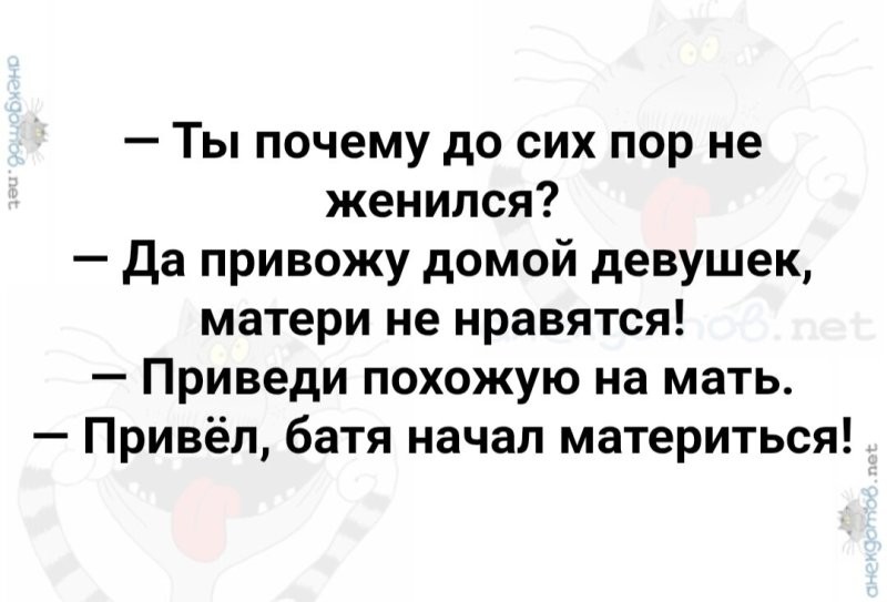 Солянка от 02.08.2025