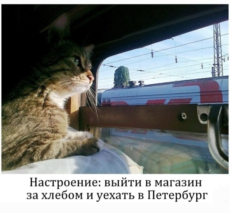 Доброе утро