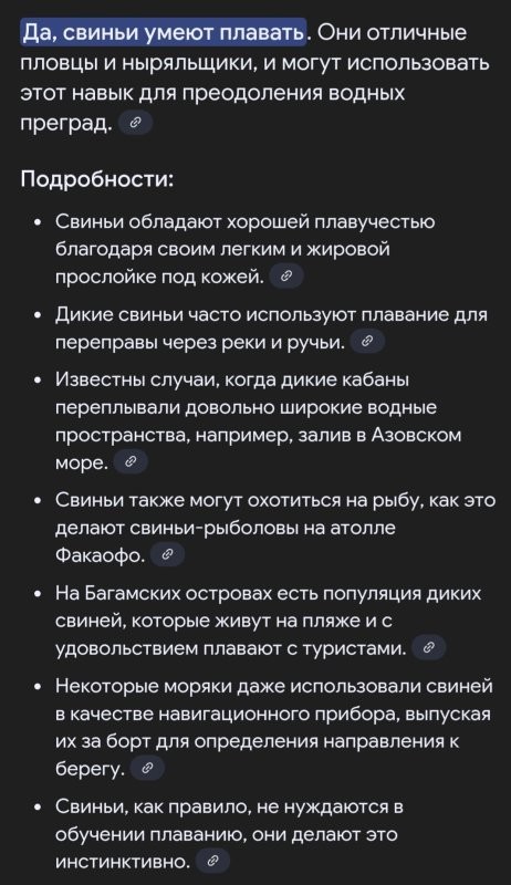 Солянка от 04.08.2025
