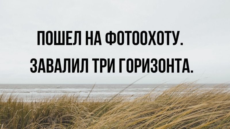 Солянка от 05.08.2025