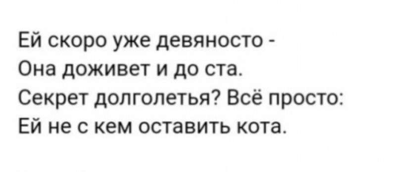 Солянка от 07.08.2025