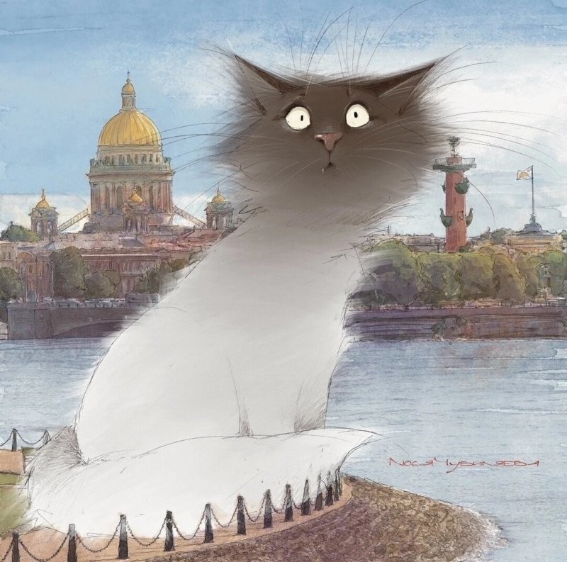 Доброе утро