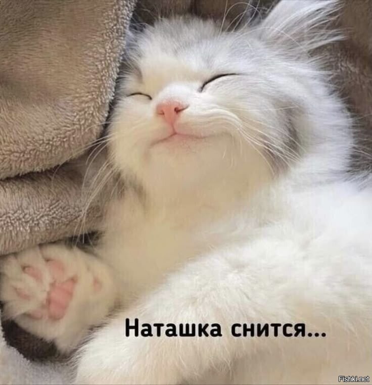 Солянка от 08.08.2025