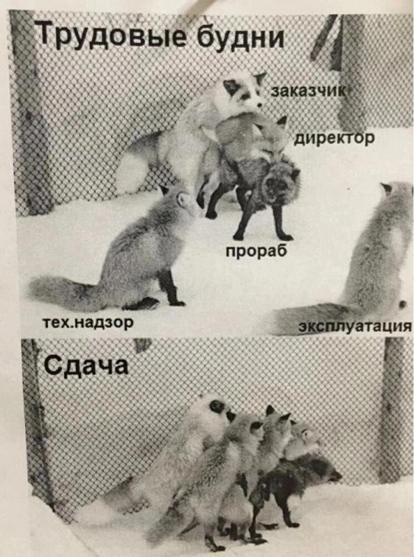 За год столько трудовыебудней, что это уже не цепляет.