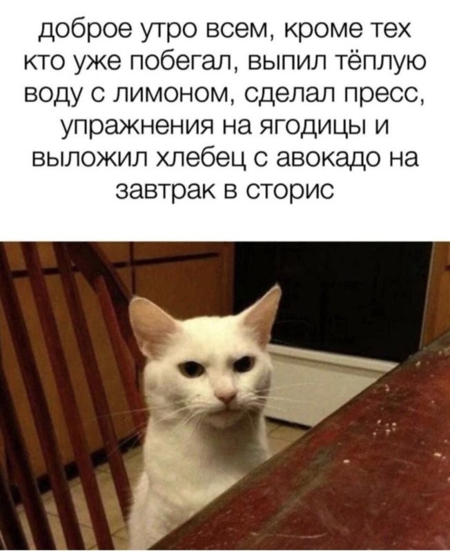 Солянка от 11.08.2025