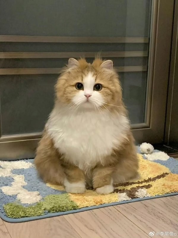 Доброе утро