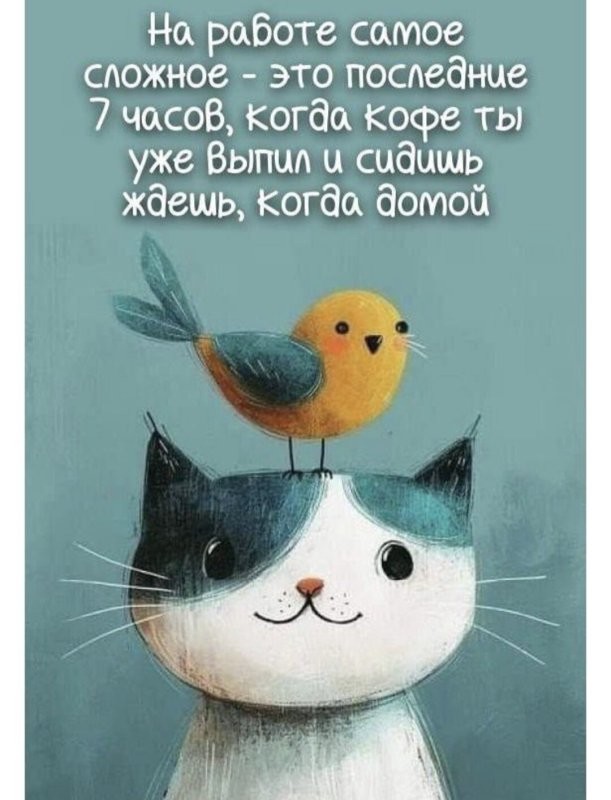 Доброе пятничное утро