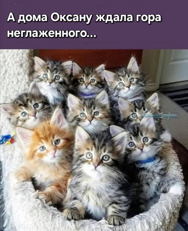 Привет...