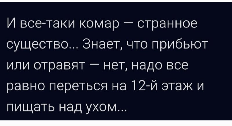 Солянка от 20.08.2025