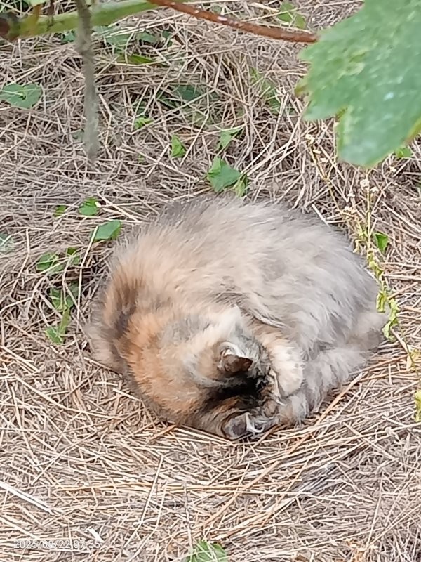 Моя спит. Будить не буду