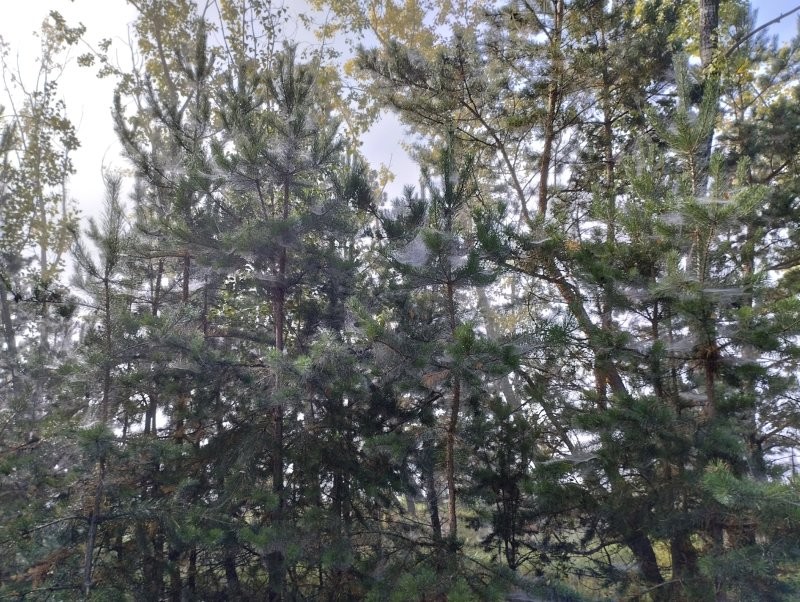 Красноярск, утро