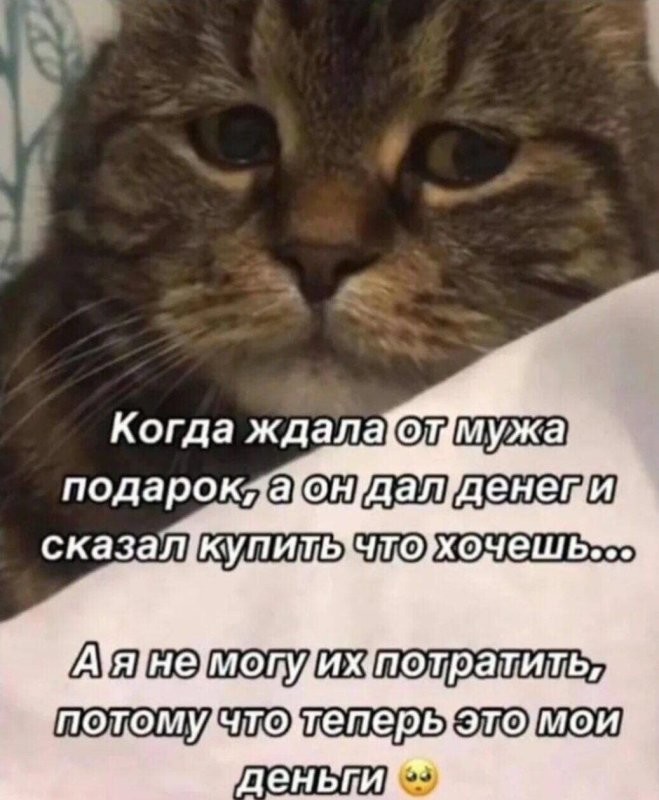 Солянка от 26.08.2025
