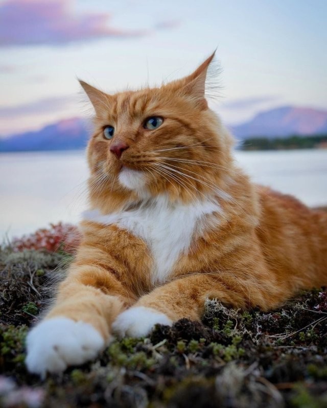 Солянка от 27.08.2025