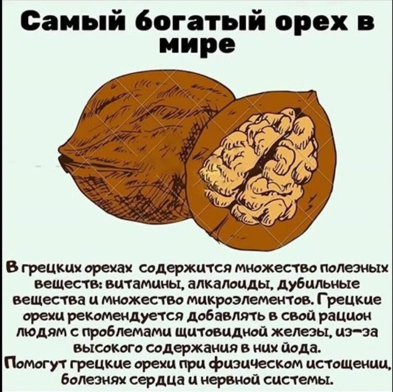 Солянка от 29.08.2025