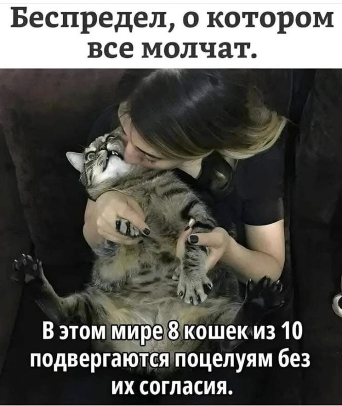 Солянка от 03.09.2025