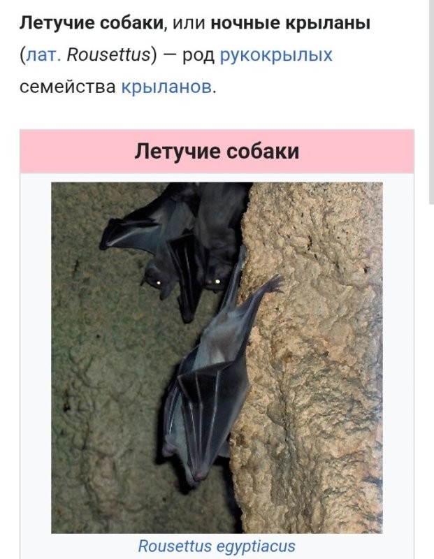 Солянка от 08.09.2025