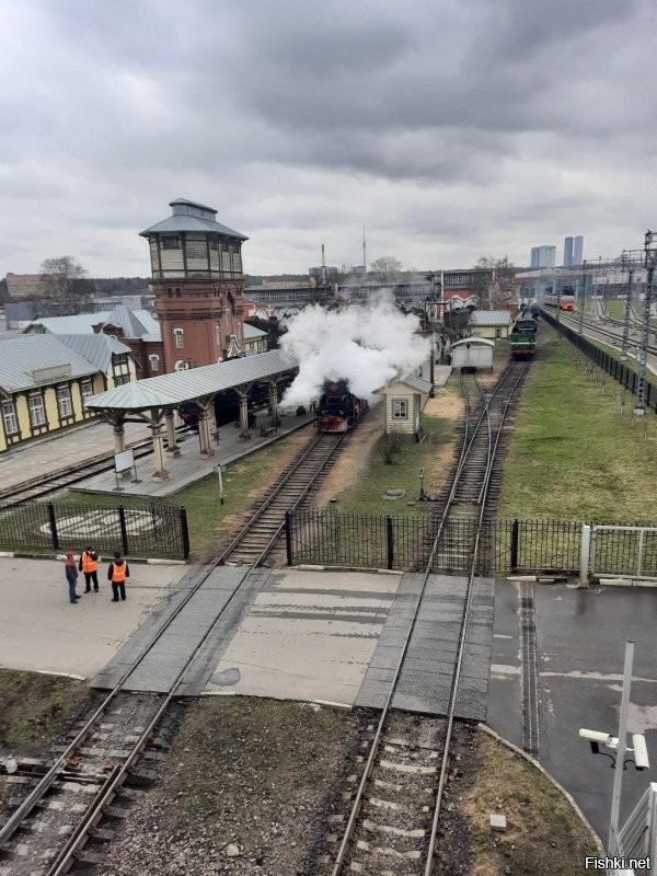 Солянка от 10.09.2025