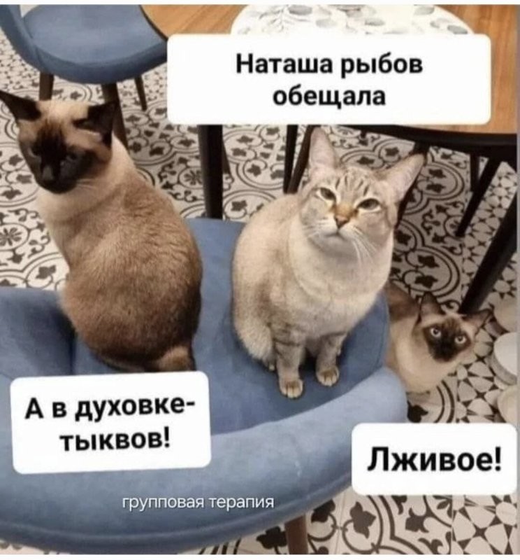 Солянка от 10.09.2025