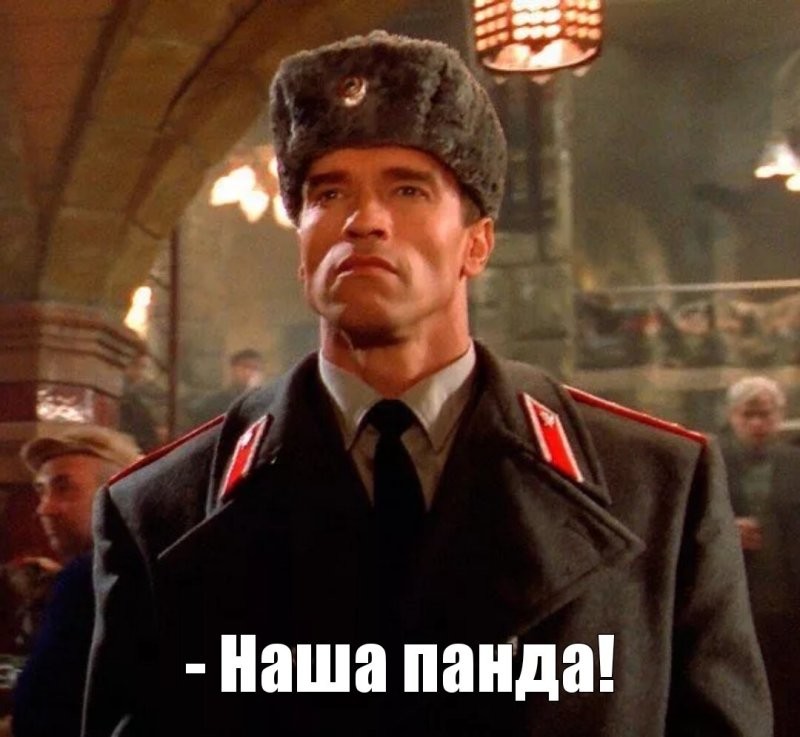 Красная панда