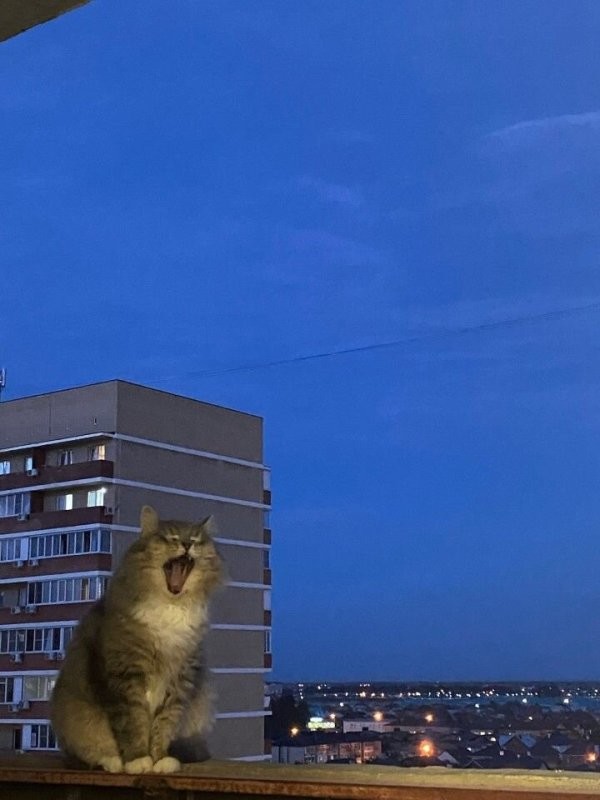 Доброго утра