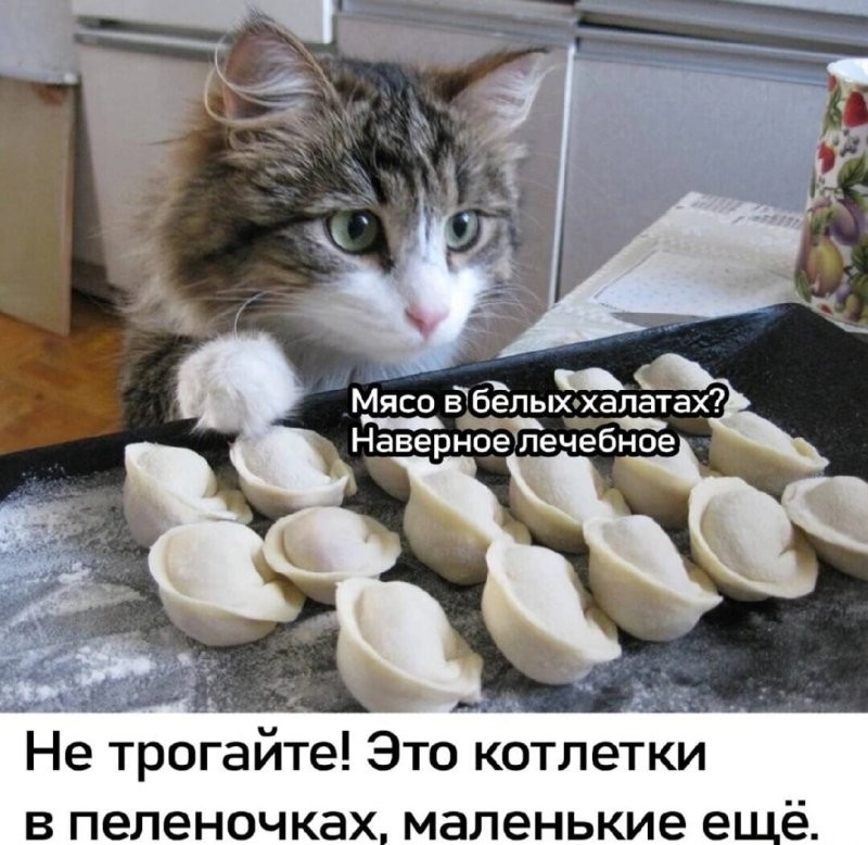Солянка от 17.09.2025