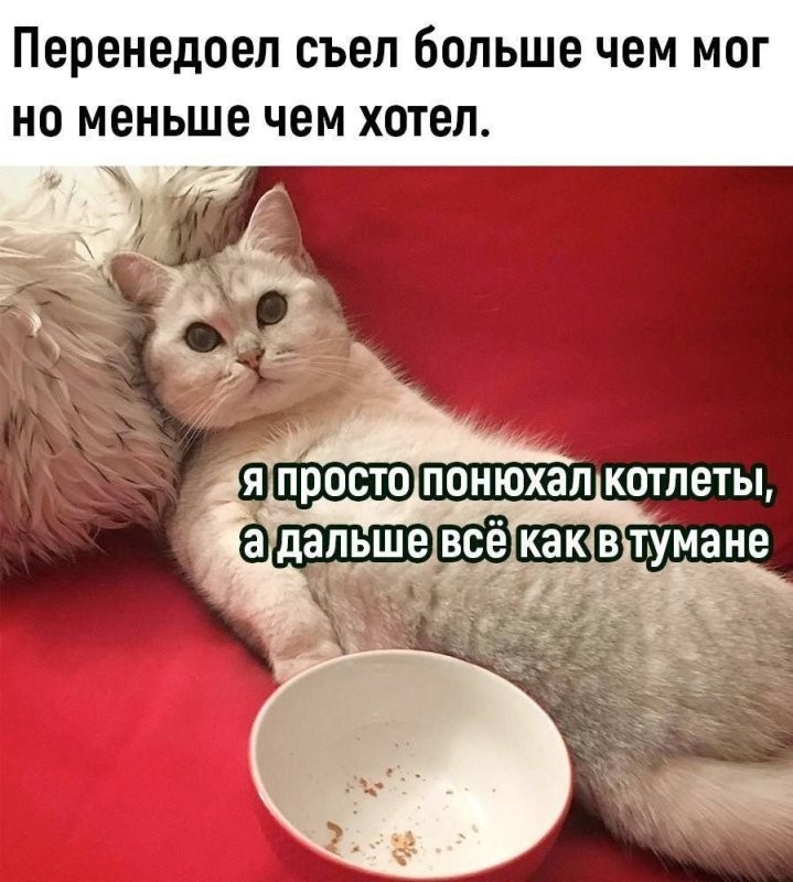 Солянка от 20.09.2025