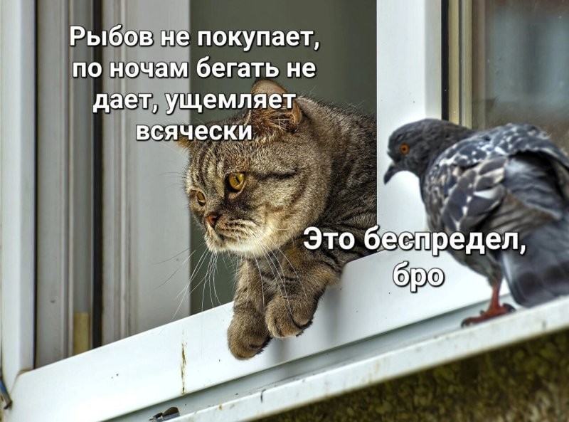 Солянка от 20.09.2025